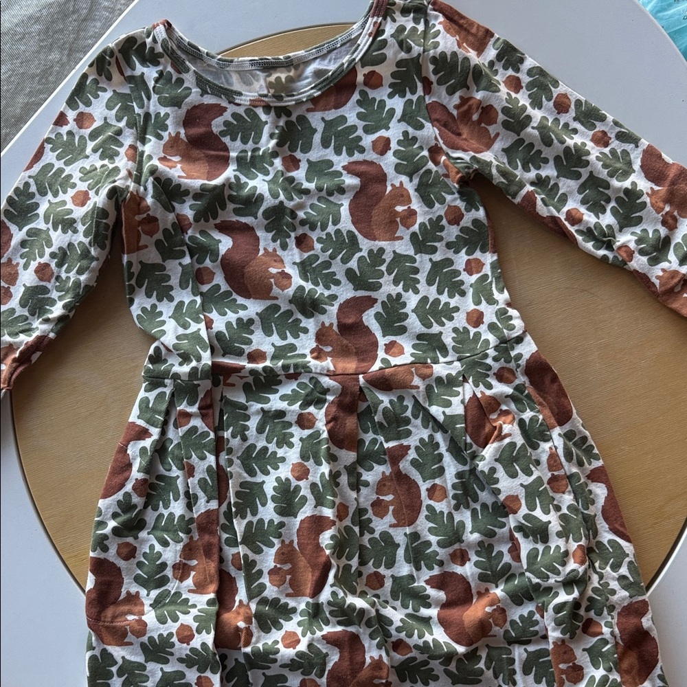 Winter water factory organic Squirrel fall Print Long Sleeve Dress